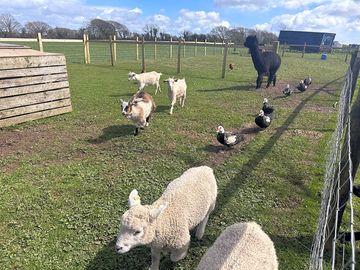 Come feed the animals