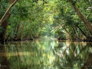 Tortuguero canals