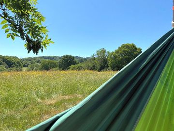 Hammock vibes