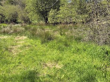 Field setting