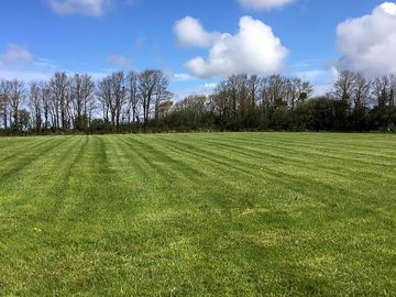 Grass pitches surrounded by trees
