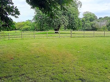 View from the beer garden