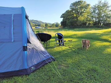 Large pitches, approx 14 x 12m