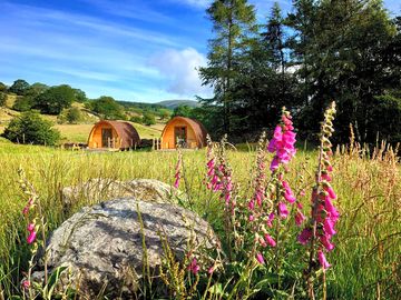 Pods with great views up the valley and lots of space beyond