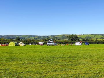 Meadow pitches