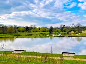Views over the lake