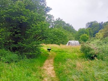 Tent on a secluded pitch