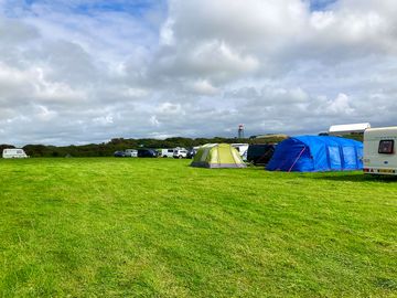 Large field with grass pitches