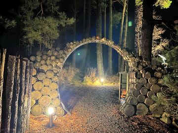 Walkway through to scot’s pine at night