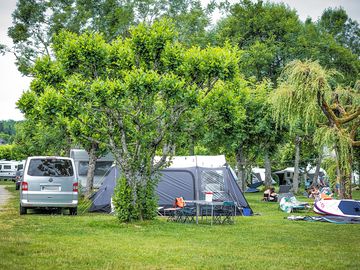 Pitches among trees and plants