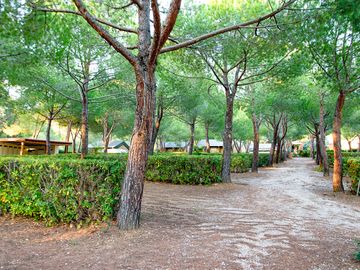 Shaded pitches