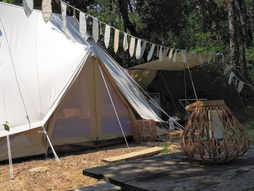 Safari tent