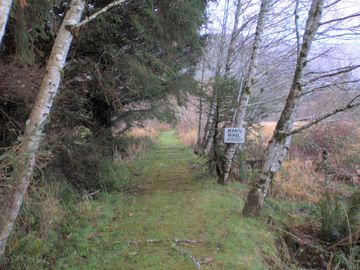 Walking trails