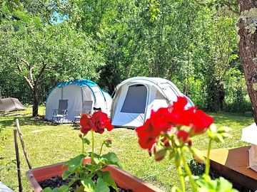 Camping field