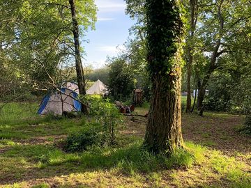Woodland pitch