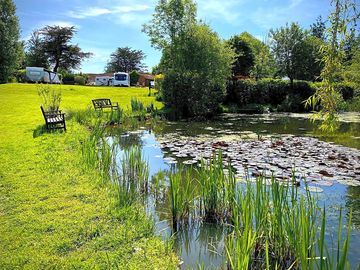 Pond