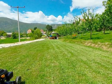 Grassy camping pitches