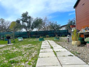 Outdoor area