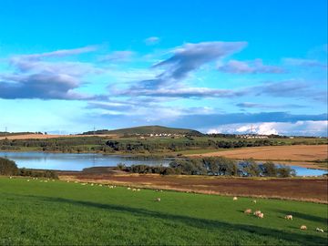 Views of loch fitty from the site