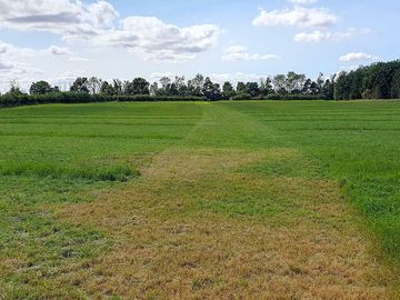 Mown track across the field