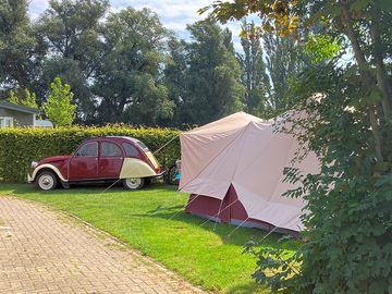 Camping field