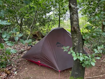 Forest floor pitch