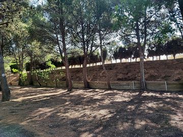 Pitches under the trees