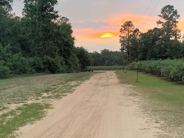 Access road to the RV sites