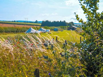 Camping field