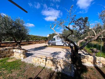 Pitches among the olive trees