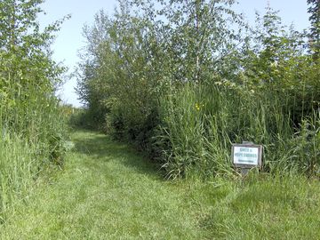 Small pitches among the trees, for tents only