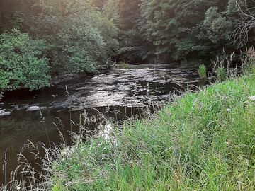 River mouse flowing into the craigs