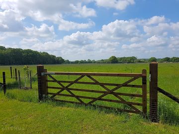 Around the farm