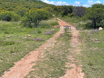 Access road suitable for all types of vehicles