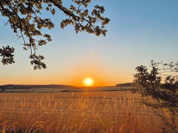 Sunset over the meadows