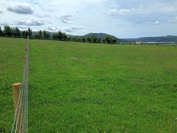 View of the site