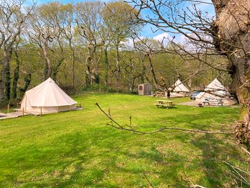 Glamping field