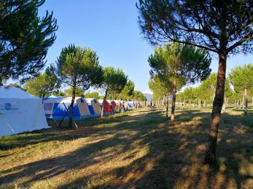Around the site