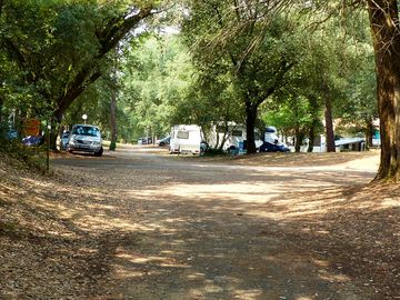 Path through the site