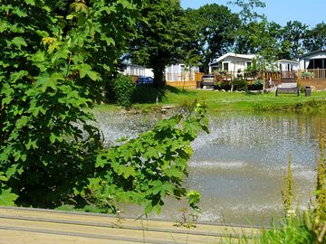 Pond