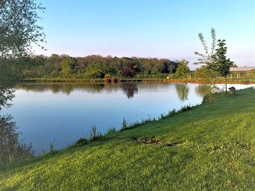 Farm lake in the summer