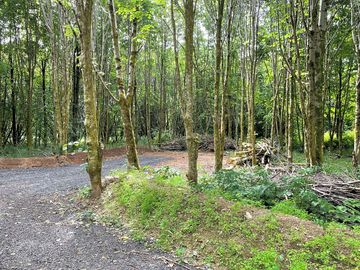 Wild camp in our new drive to pitches with fire pit