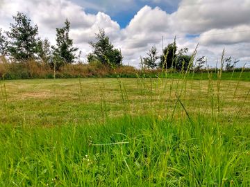 Clean mown pitches