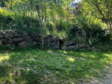 View of the site