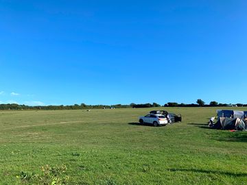 View of the site