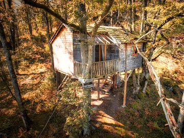 Treehouse in the woods