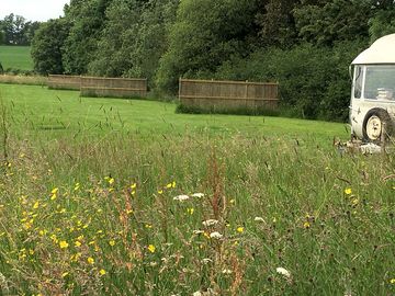 Grassy pitches