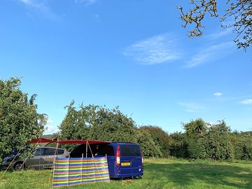 Spacious orchard camping