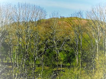 View of dinas bran castle from the site