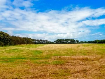 View over the pitches